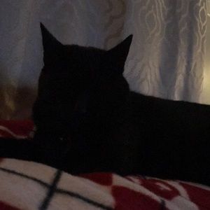 Meet your Posher, Jesse